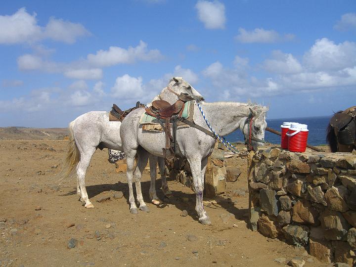 Aruba - January 2008 110.JPG